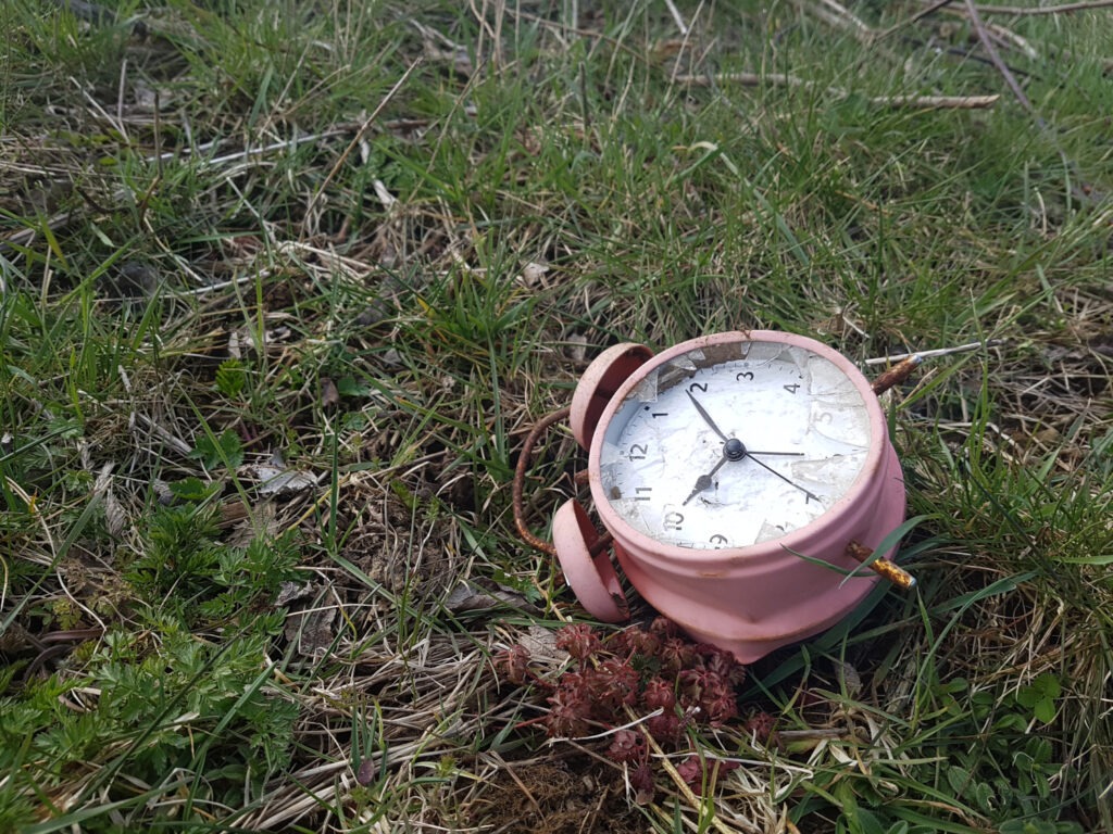 Aufnahmen von Müllsammelaktionen aus den zurückliegenden Jahren